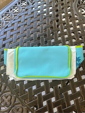 Blue and Green Trader Joe’s lunch tote